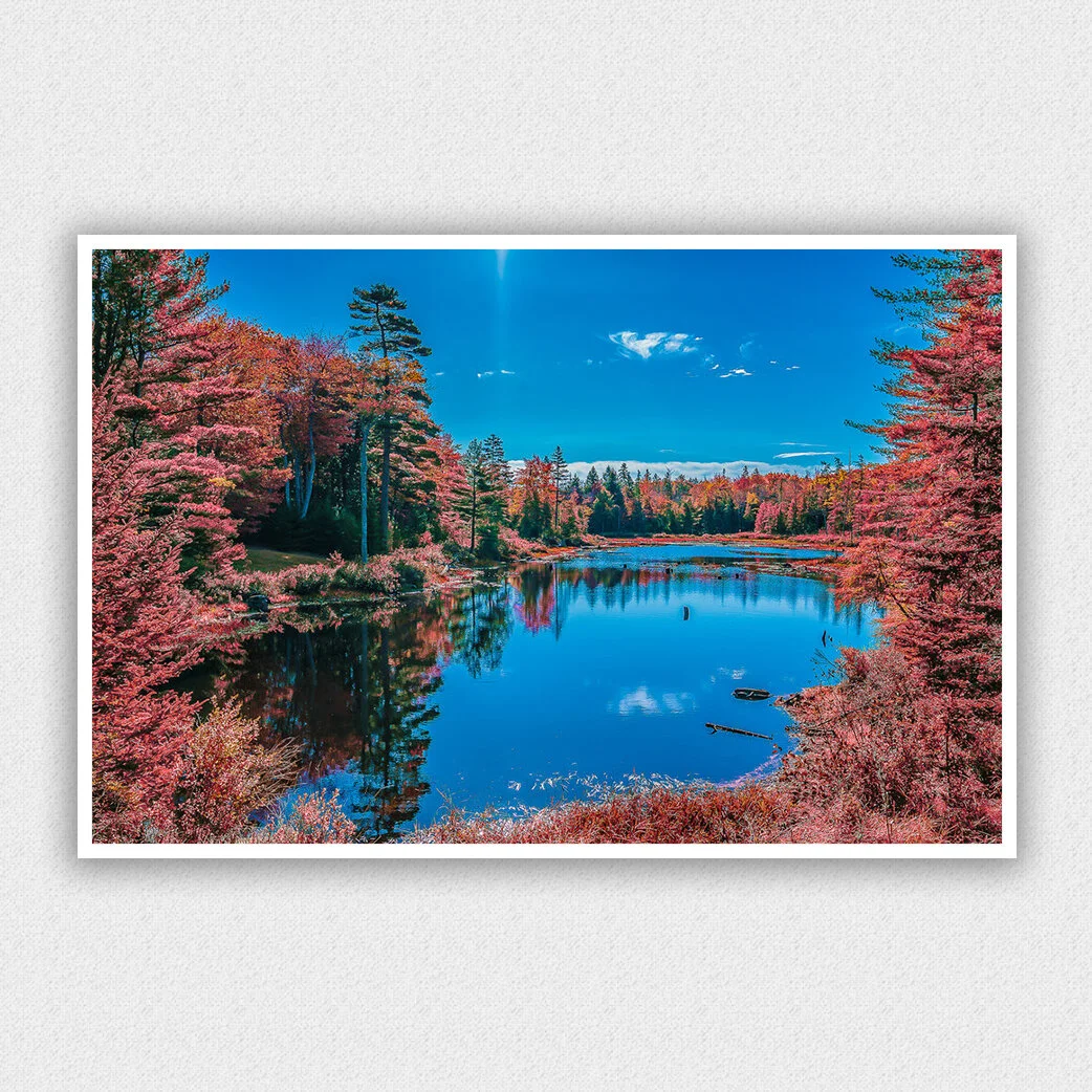Landscape - LD #10007 Horizontal.jpg