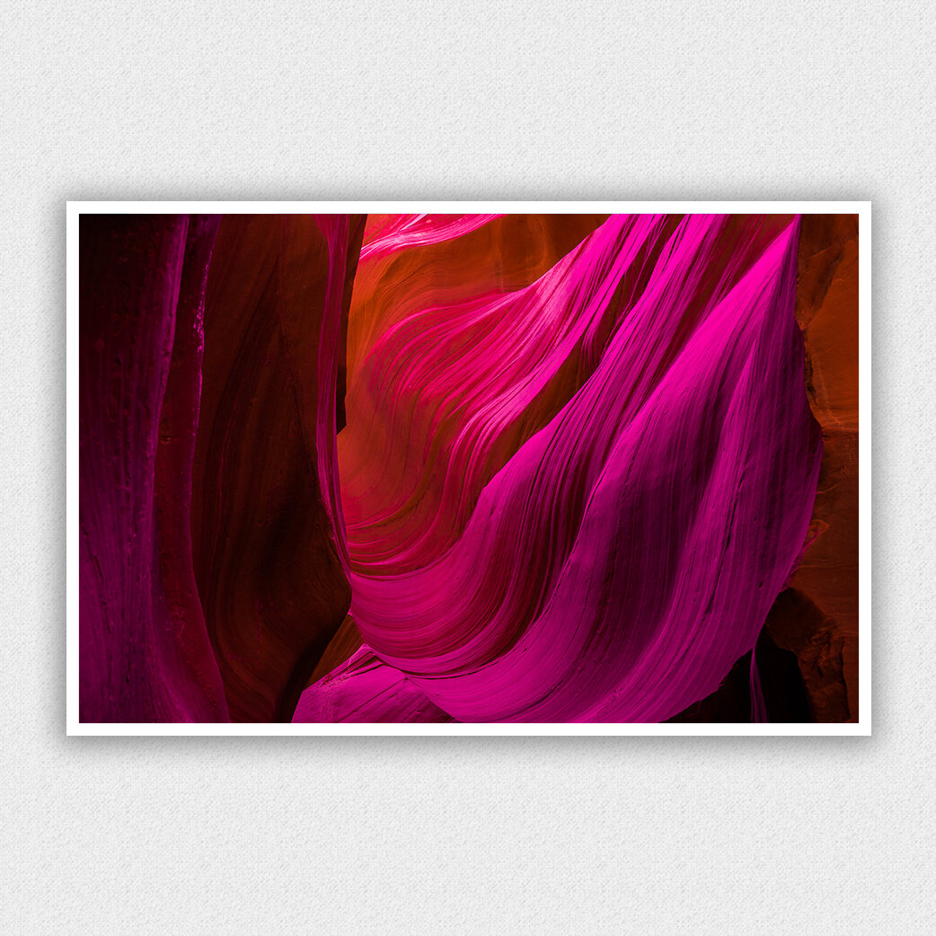 Anterope 4 .jpg