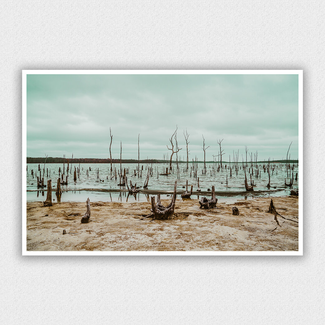 마나스콴-25 .jpg