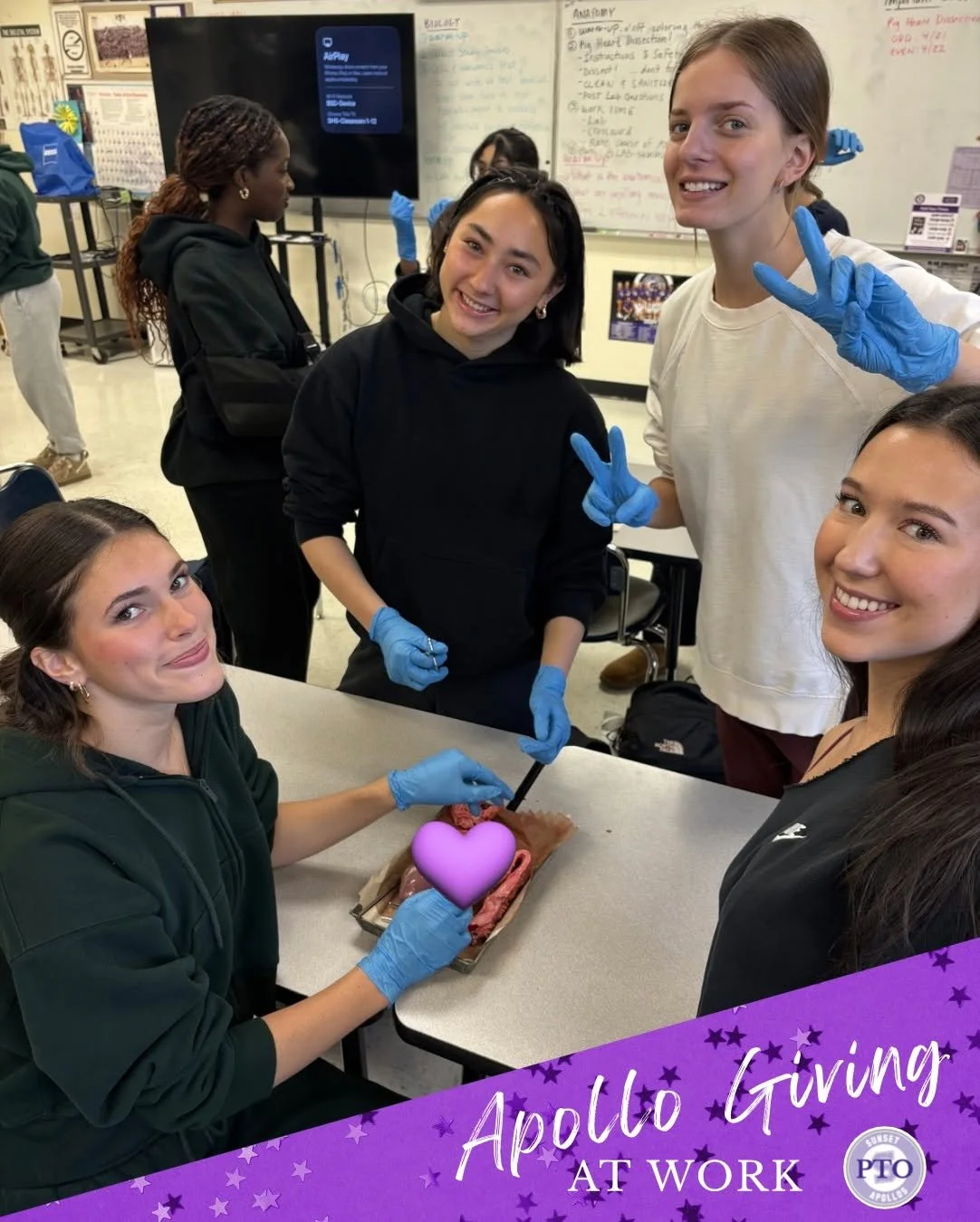THANKS TO YOU, our Apollo Giving donors,  Sunset's Human Anatomy &amp; Physiology DC and IB Bio HL1 classes were able to experience hands-on dissection. While this level of science isn't for everyone, it's a huge learning opportunity that we are prou