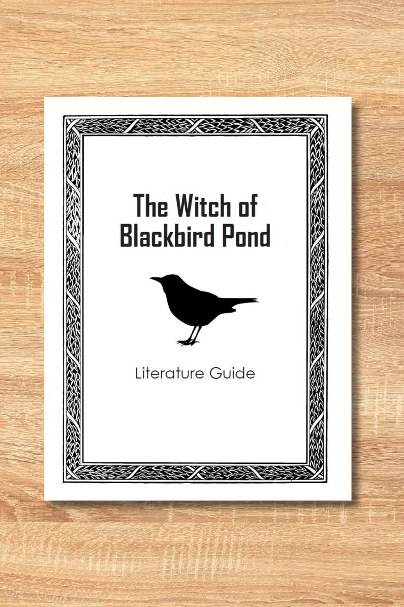 Witch of Blackbird Pond.jpg