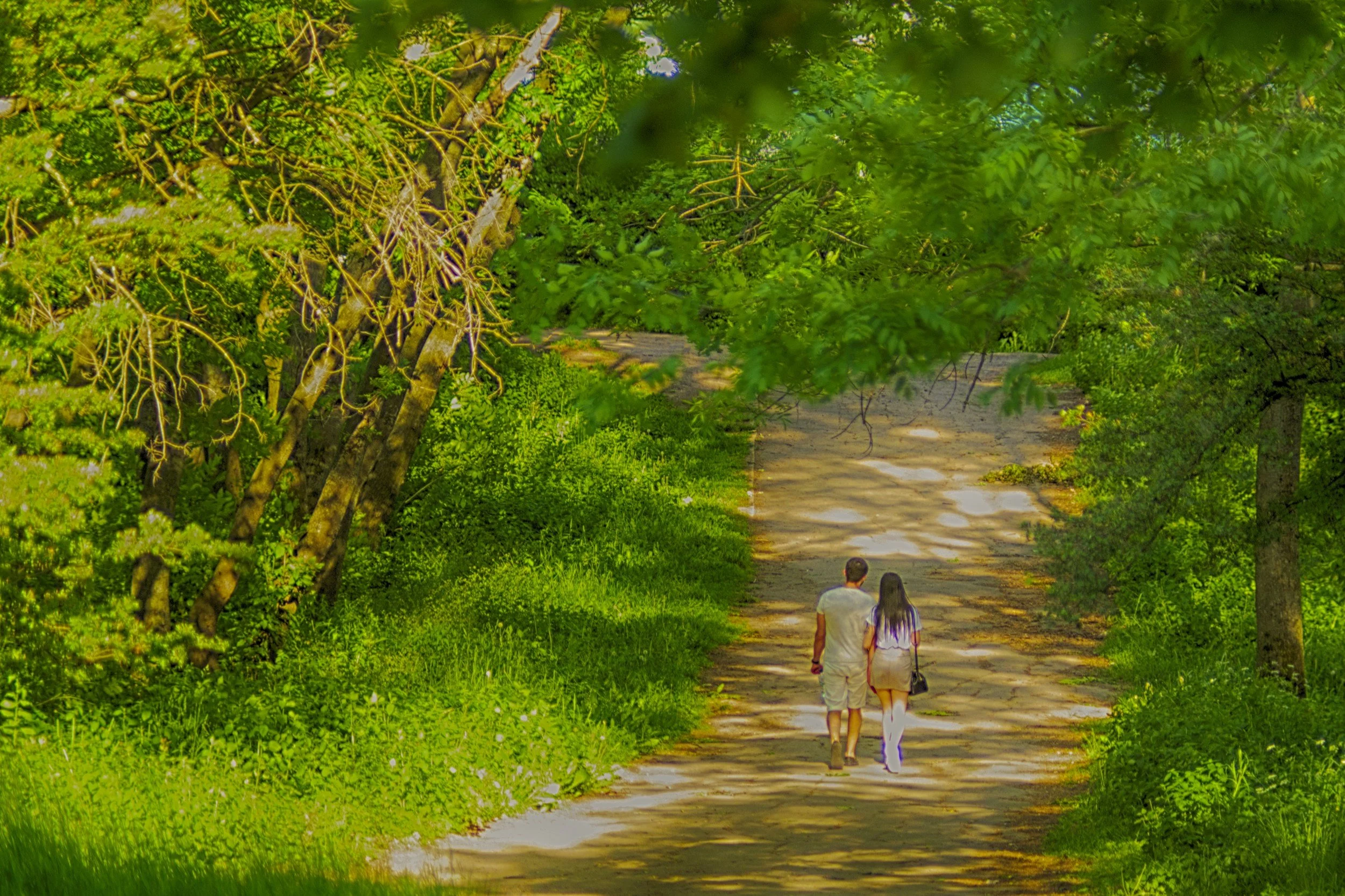 Couple walking together along a tree-lined path, symbolising reflection, distance, and the possibility of moving forward in a relationship.