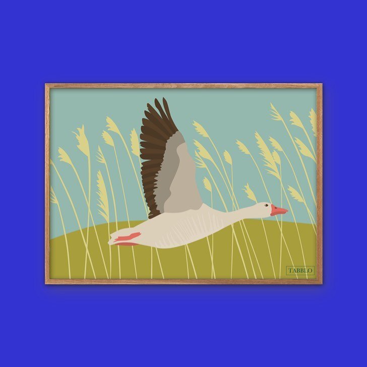 Today I am going to pick up the first prints of the goose posters 🙌🏻 this time I also ordered a few postcard sized prints. Super excited to see how they&rsquo;ve turned out.

The flying goose is the second out of three goose posters inspired by Utt