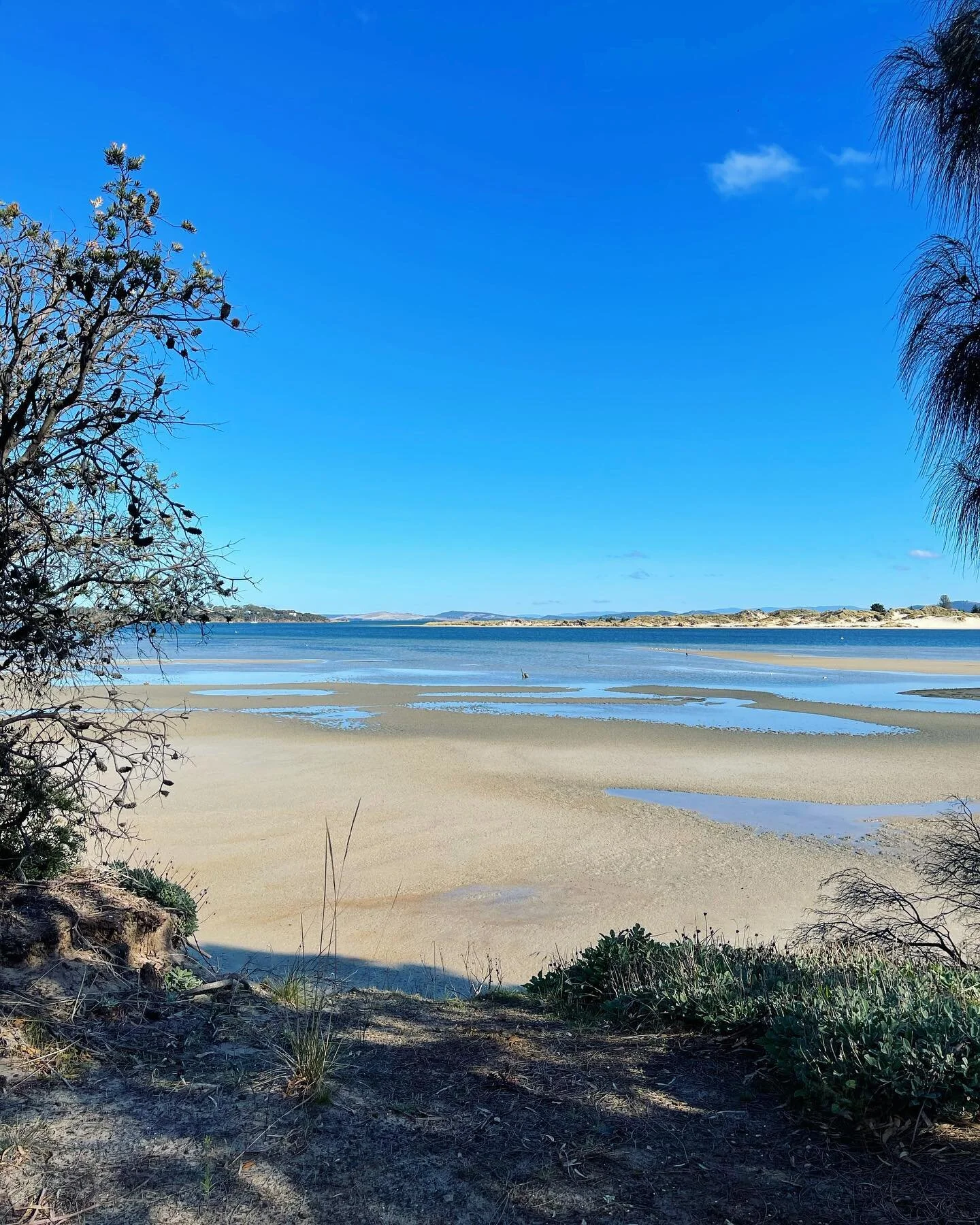 Tassie fishing adventures with the birthday boy @ldemay 🎣 🥳 🦪