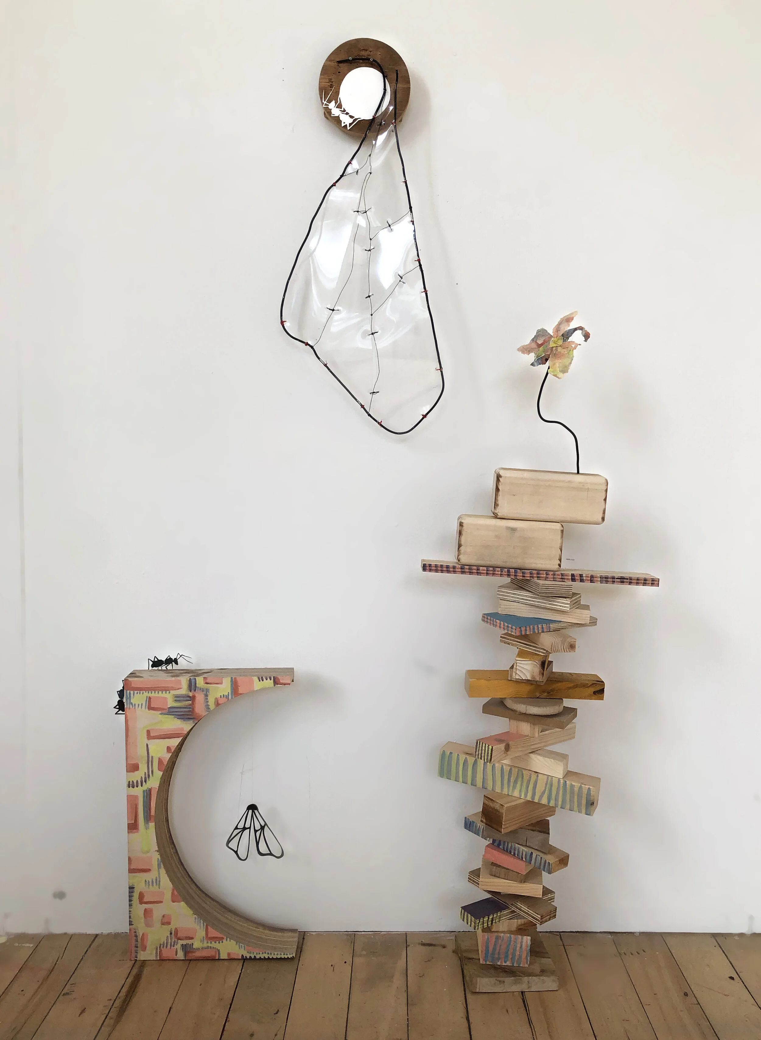 Ant Installation Edits.jpg