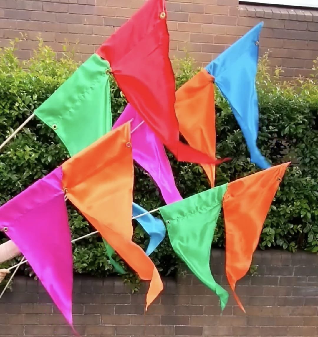 Party flags multicoloured #2.jpg