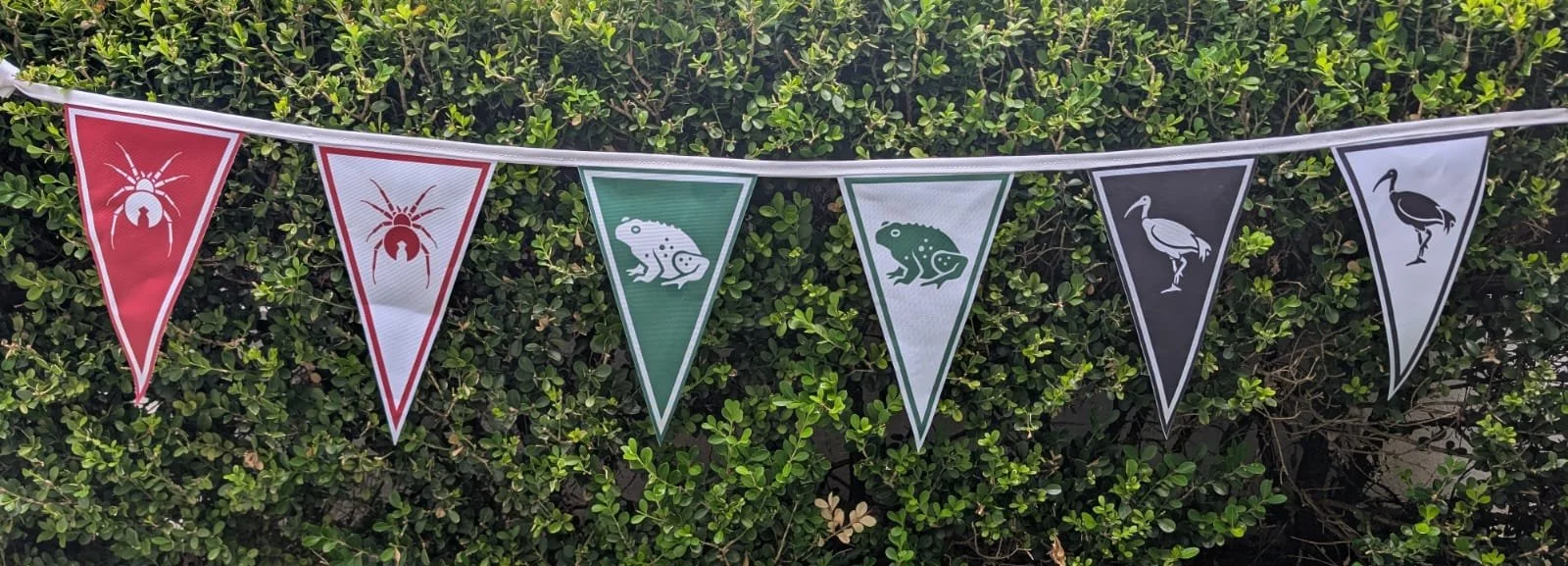 Warner Bros Bunting - tall.jpg