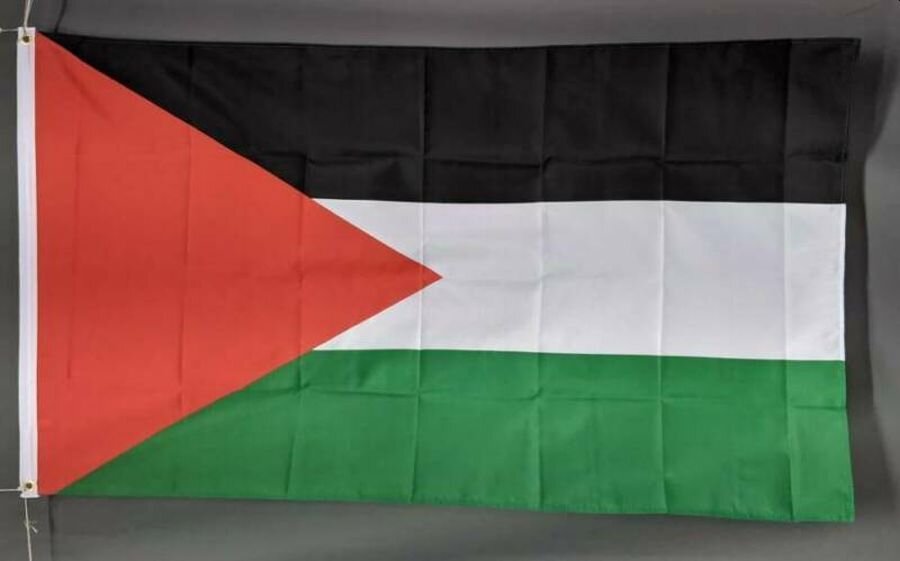 Palestine Flag. Large Standard — Flag Monkey