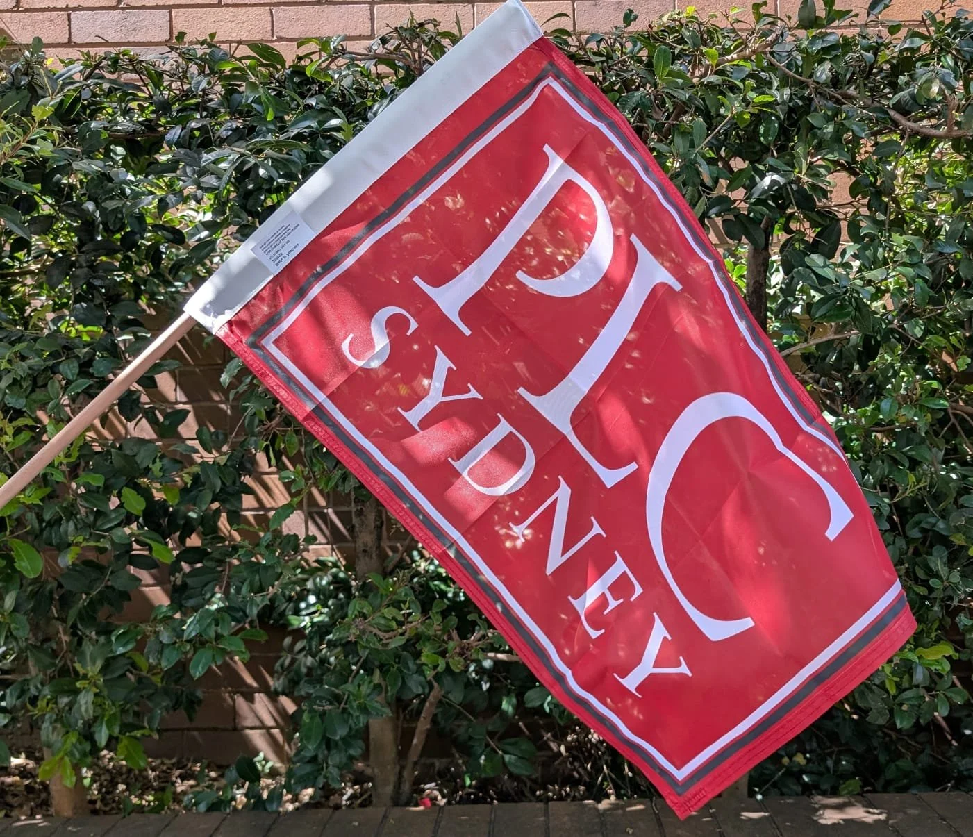 PLC Sydney waving flag.jpg