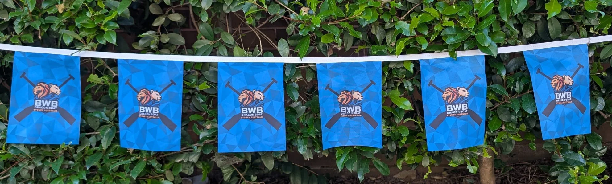 BWB Bunting - short.jpg