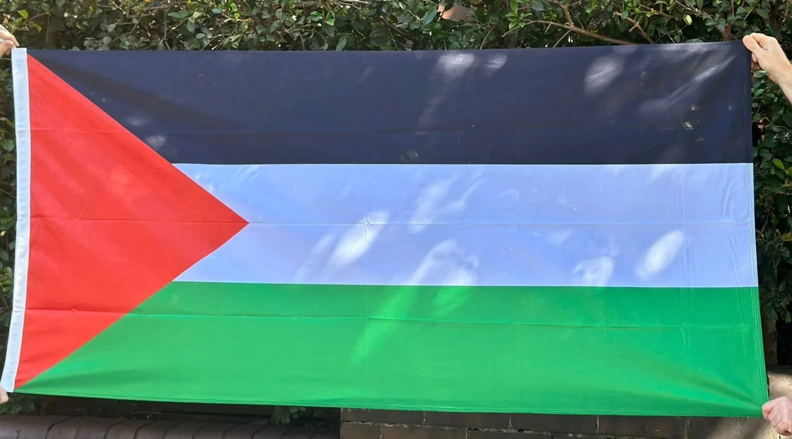 Palestine outdoor flag.jpg