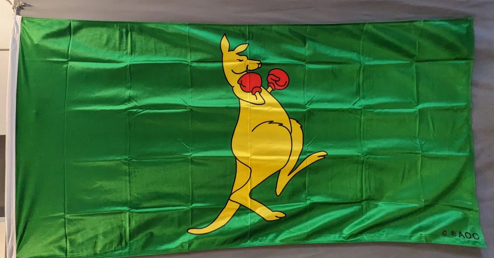 Boxing Kangaroo Outdoor Quality.jpg