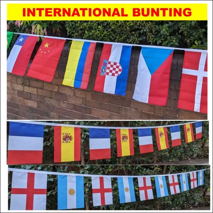 PSV2 international bunting.jpg