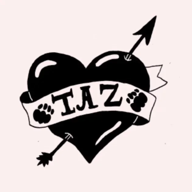 TAZ 09.05.2026