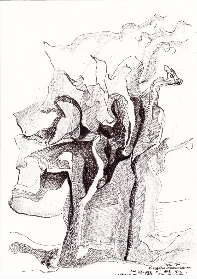 Do you expect me to make you immortal? 2026. Ink, paper. 29,5 x 21.