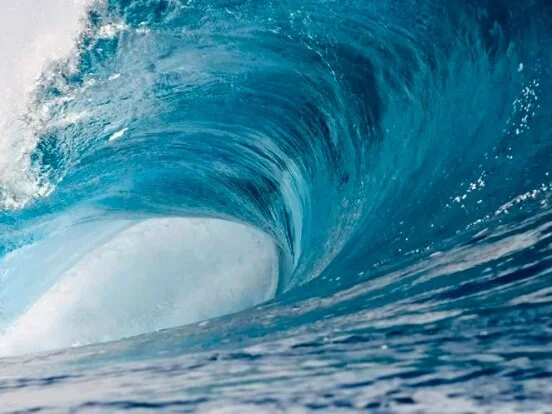 买房利器与买家需求的完美碰撞