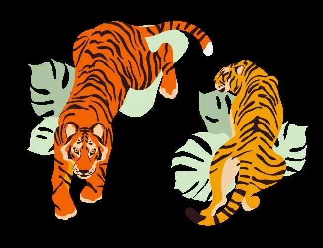 回望2021：身在谷底，心系云端