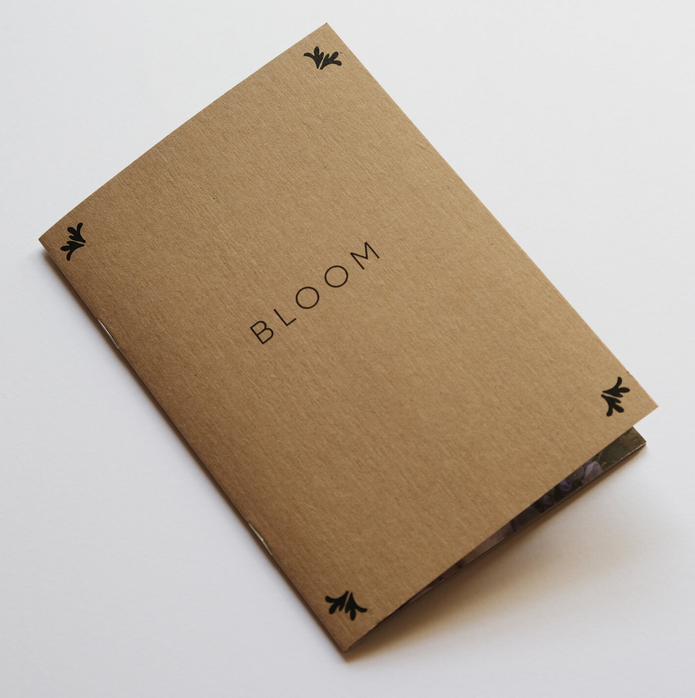 bloom 2.jpg