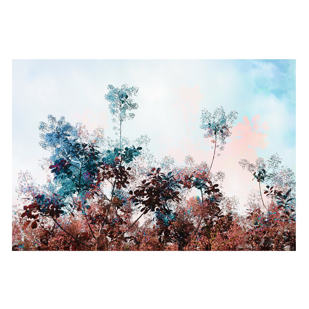 smoke.jpg