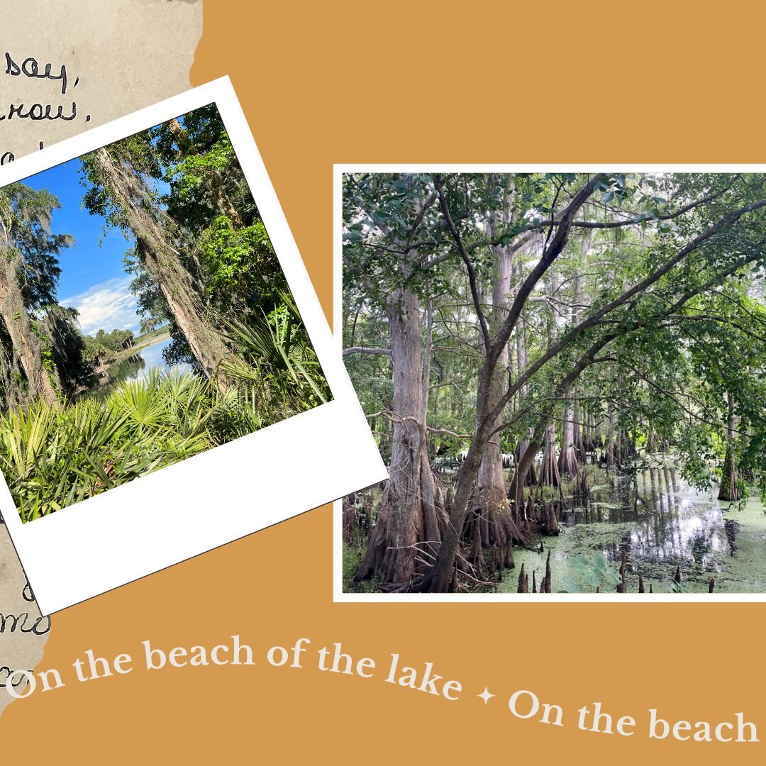 Myrtle's journal on November 28, 1965:

Peg&rsquo;s arm hurt, didn&rsquo;t go to S.S. Warm, nice. Ray went to Lake K. for shrimp, got lots. Put 5 Alligator Lake. Took Destry home Tricia rode him, Peg led. Peg rode him a few min.

Step into the past a