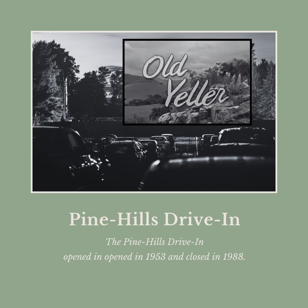 From Myrtle's journal on November 29, 1965:

Ray had $21⁰⁰. Highway Patrolman stopped him, must get tail lite fixed. Earli came after dinner, took him hunting. Back around 6, went to movie Pine Hills Drive In to see &ldquo;Old Yeller&rdquo; also &ldq