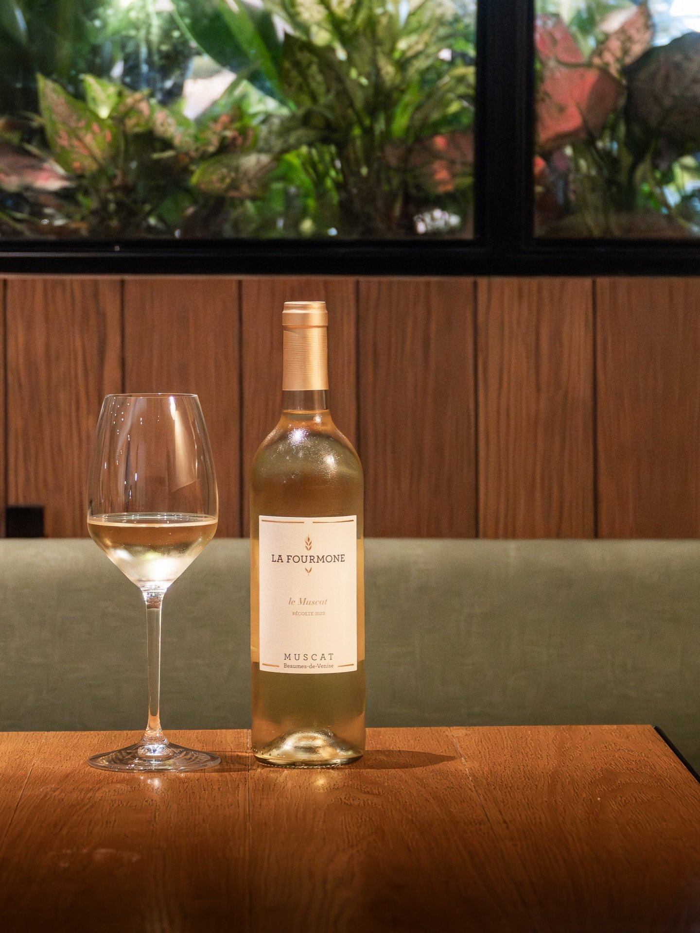 A little sweetness goes a long way. This month, we&rsquo;re pouring La Fourmone, Muscat De Beaumes De Venise 2023 by the glass &mdash; bright, aromatic, and easy to enjoy at any hour.

Pair it with our home-made mini coconut pancakes, served warm wit