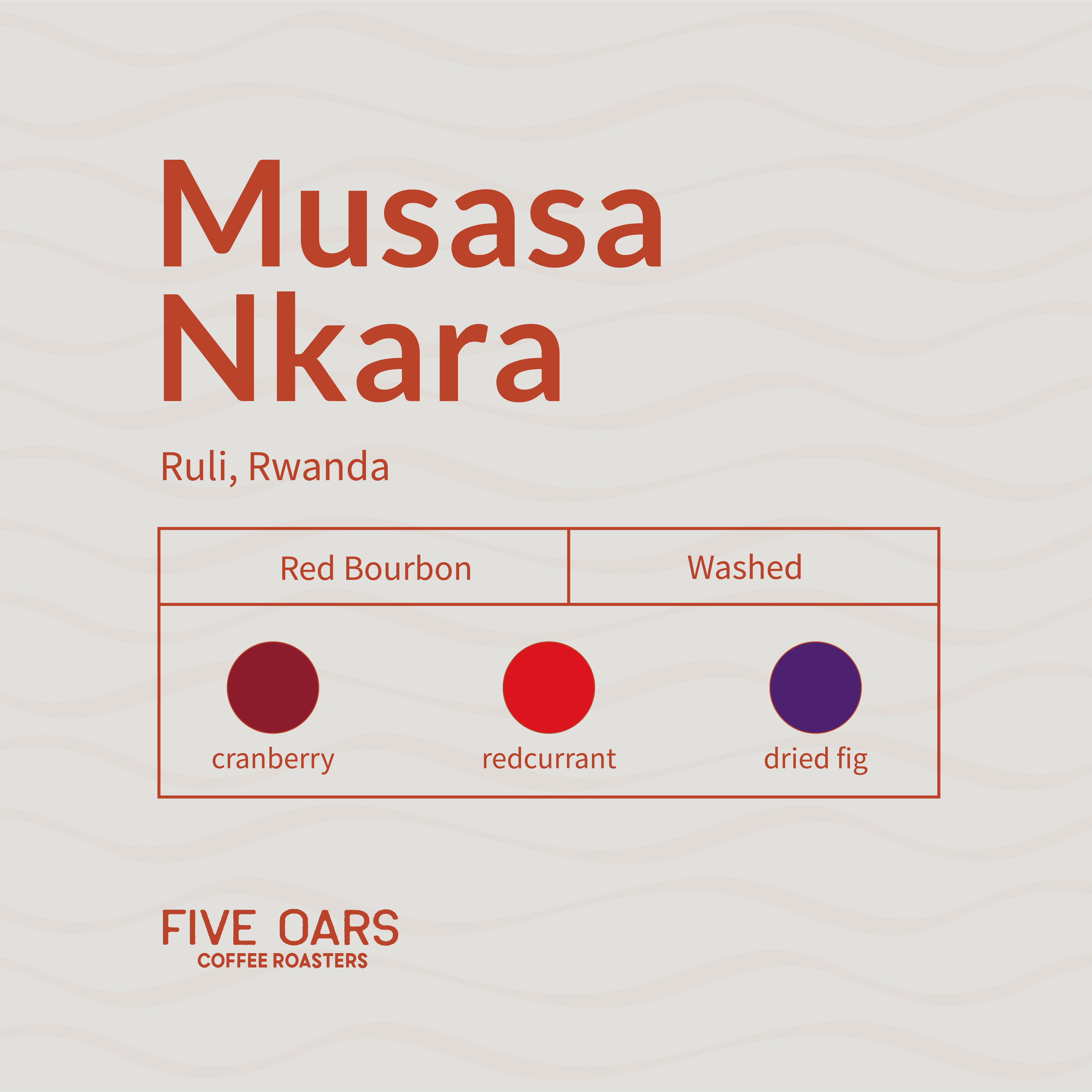 FOCR_Musasa Nkara-01.png