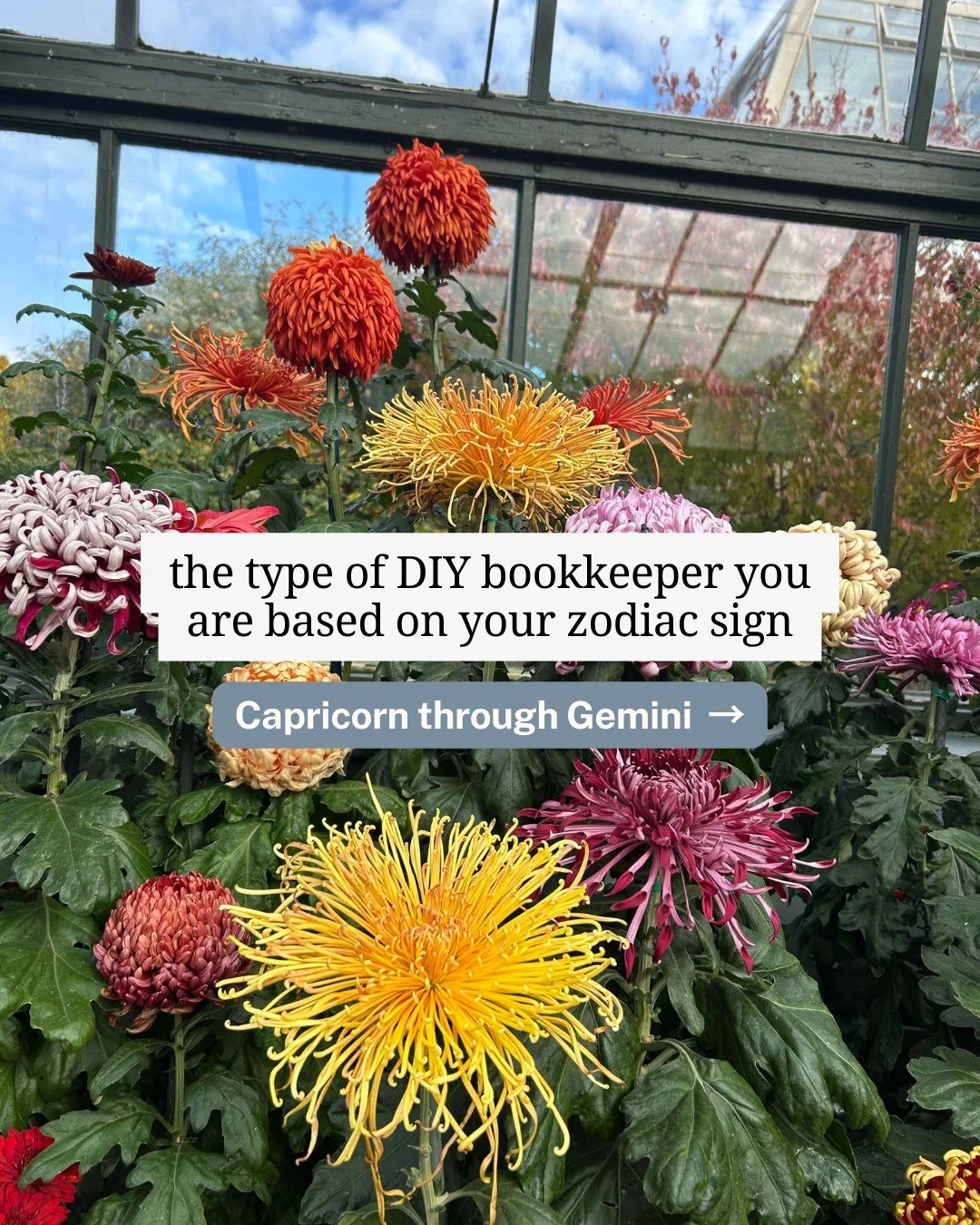 Share yours to your stories if it's spot on, or defend your star sign's honor in the comments. 😜

Second half of the year birthdays, stay tuned for tomorrow's post!