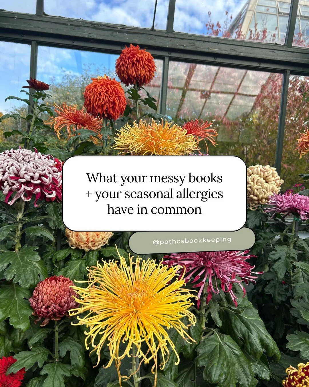 When the flowers are blooming, spring has sprung, and you can't stop sneezing every 5 seconds, you know how to fix it... 

You pop your fav allergy pill and grab a kleenex. 🤧

But when your CPA starts asking all sorts of questions about your numbers