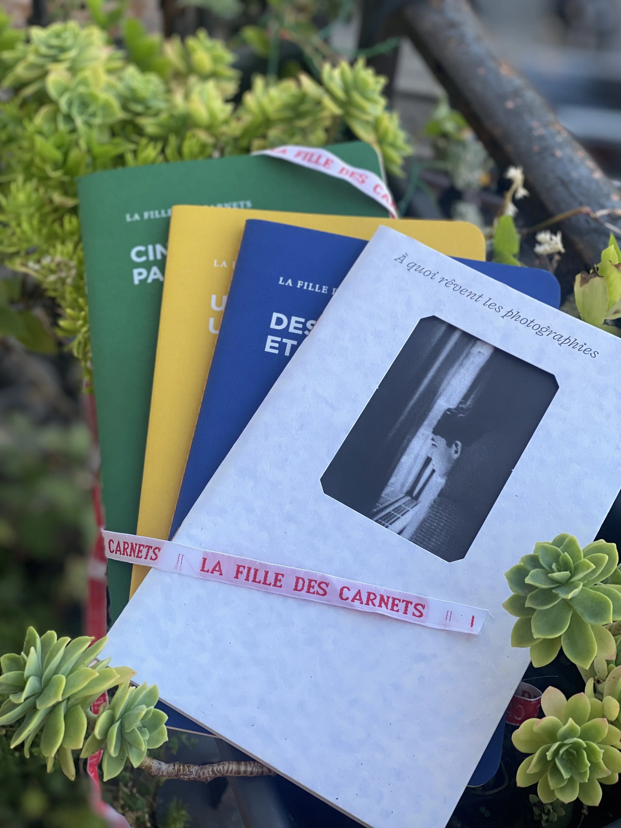 La Collection UN AN D'ÉCRITURE - 2