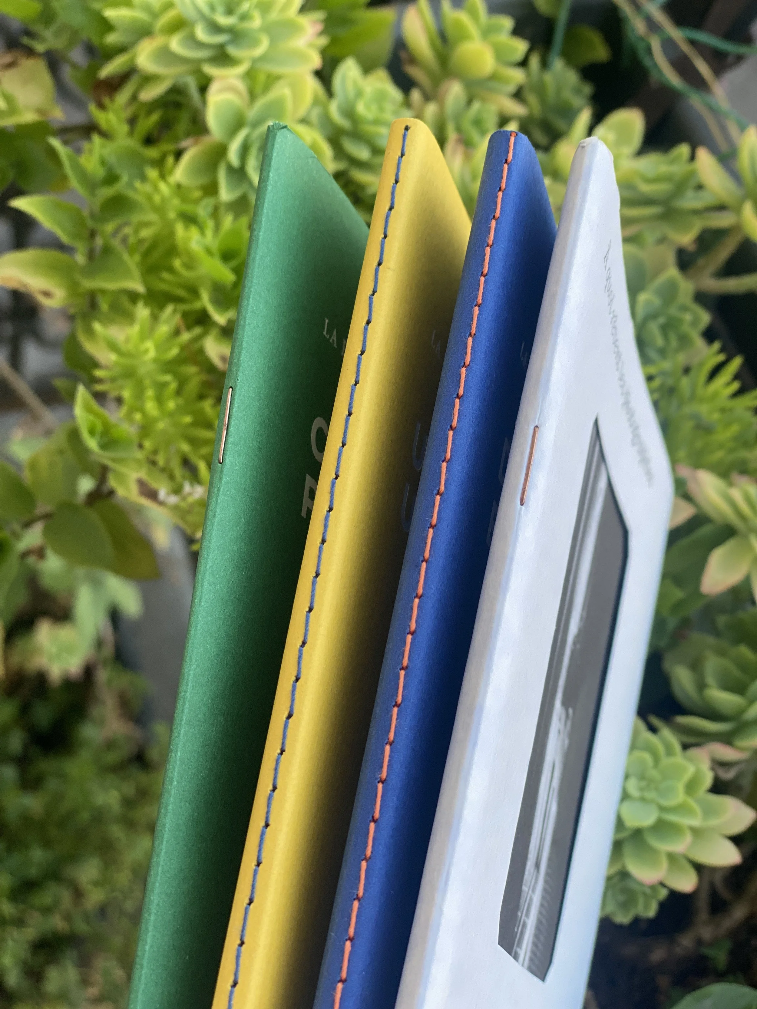 Collection-2-la-fille-des-carnets-tranche.jpeg