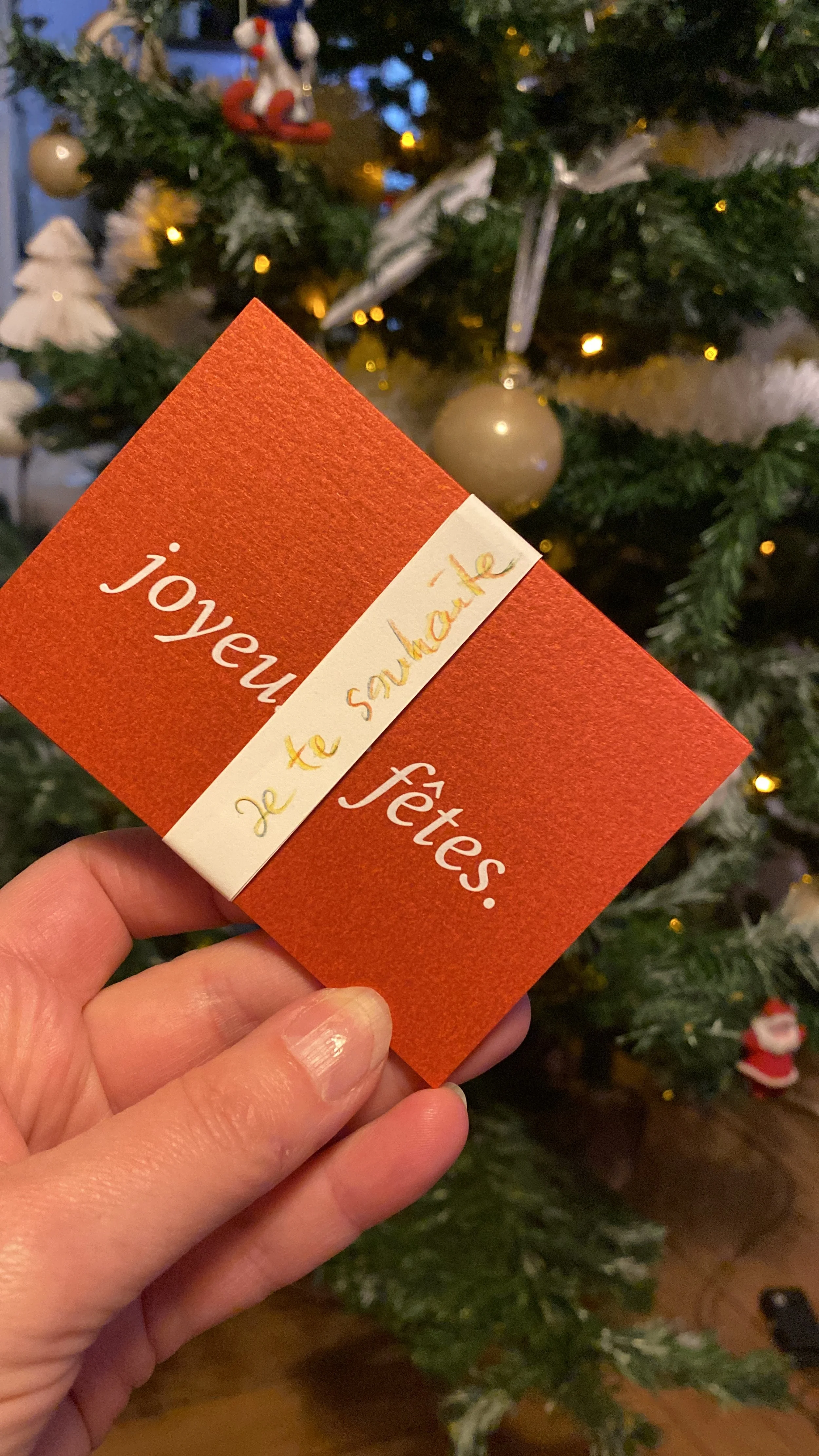 Joyeuses fêtes.jpg