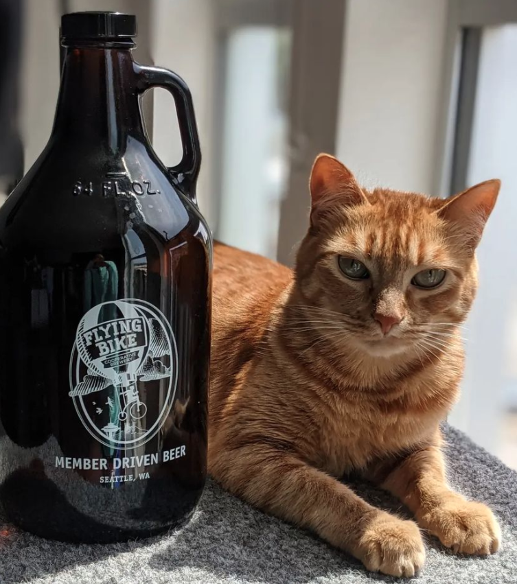 Flying Bike - Cat and Growler.png