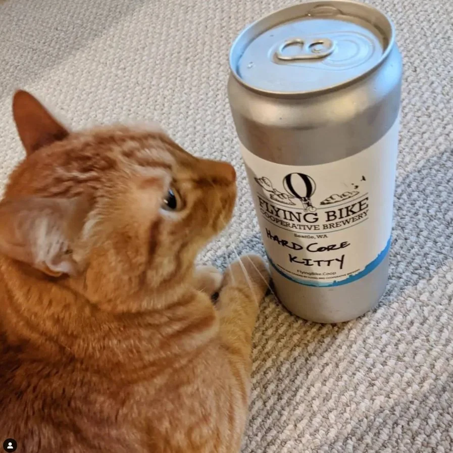Flying+Bike+-+Cat+%26+Crowler.jpg