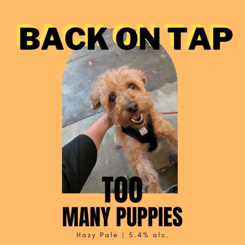 Flying Bike - 7.13.22.png