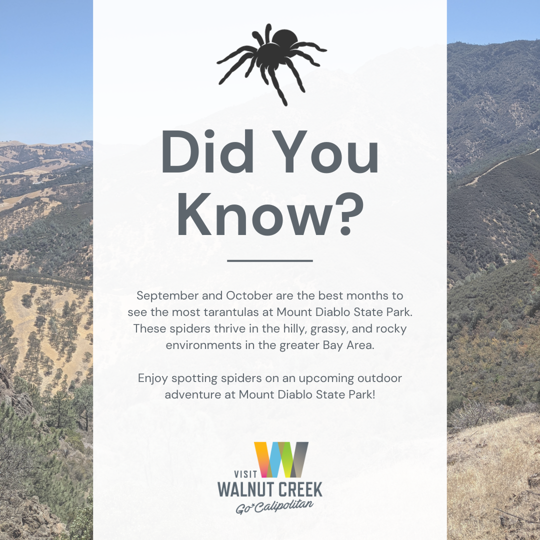 Trivia Tuesday - 09.26.23.png