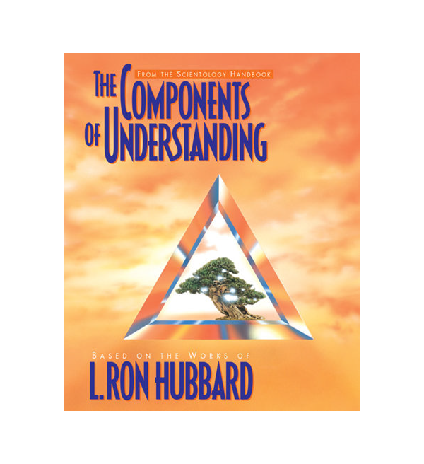 Components of Understanding Booklet_.png