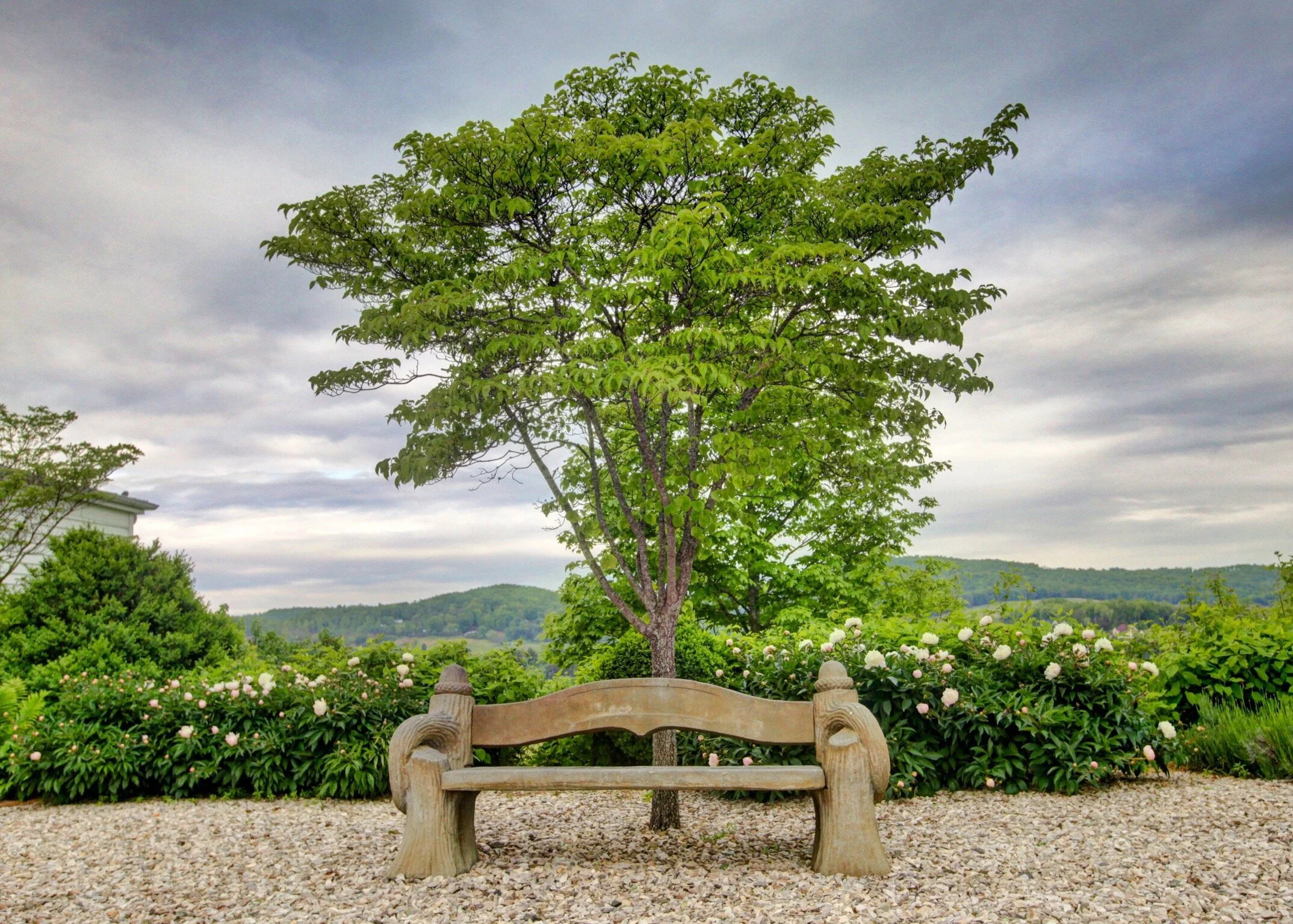 Services 3 — Blue Ridge Garden Club