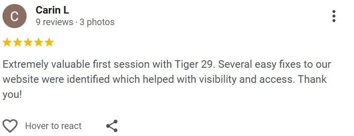 Extremely valuable first session with Tiger 29. Several easy fixes to our website were identified which helped with visibility and access. Thank you!