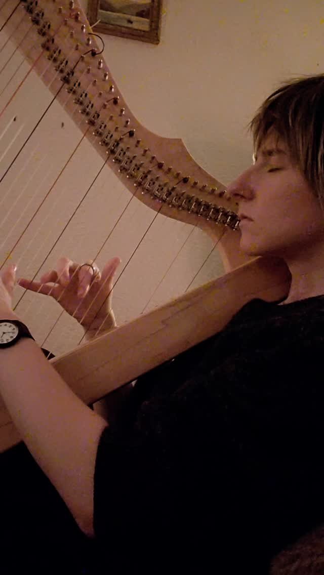 Improving on a simple pattern
Practice makes Progress πͺ
#harp #harpimprovisation #harpistsofinstagram #harpist #hipharp