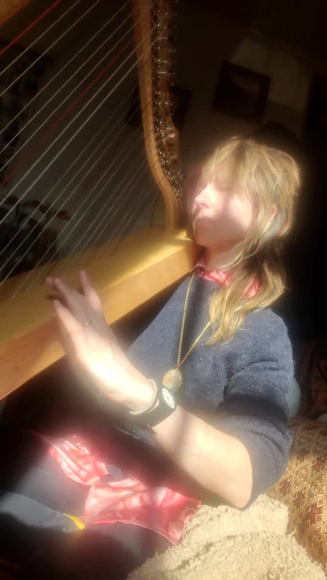 #harpist #harp #harpistsofinstagram #songwriter #