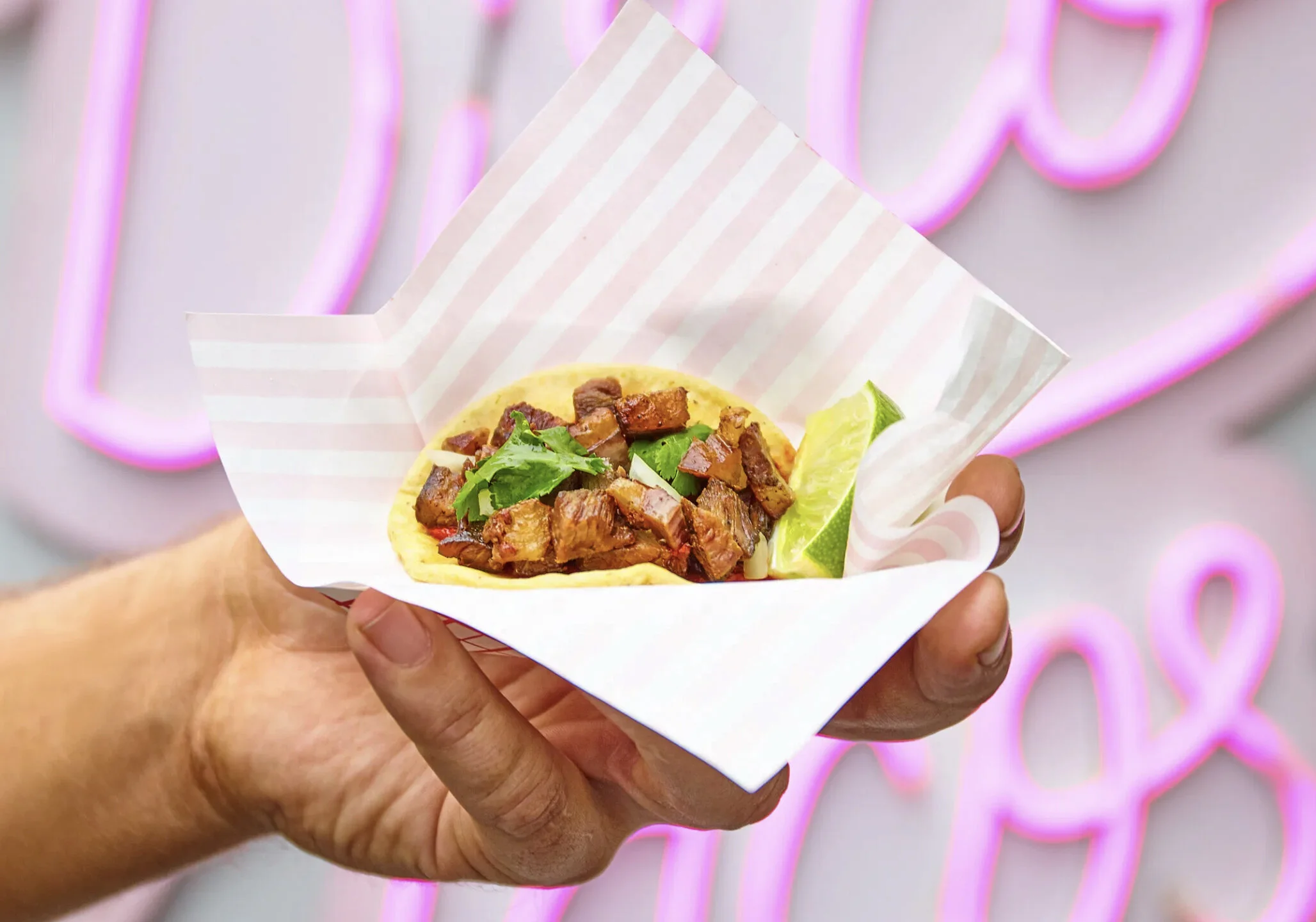 DiscoTacos_Taco_F2.jpg