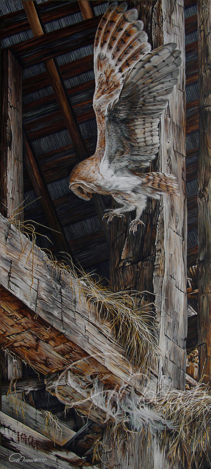 UPCOMING: Artwork selected for Exhibition at the Federation Gallery in Vancouver, November 2021