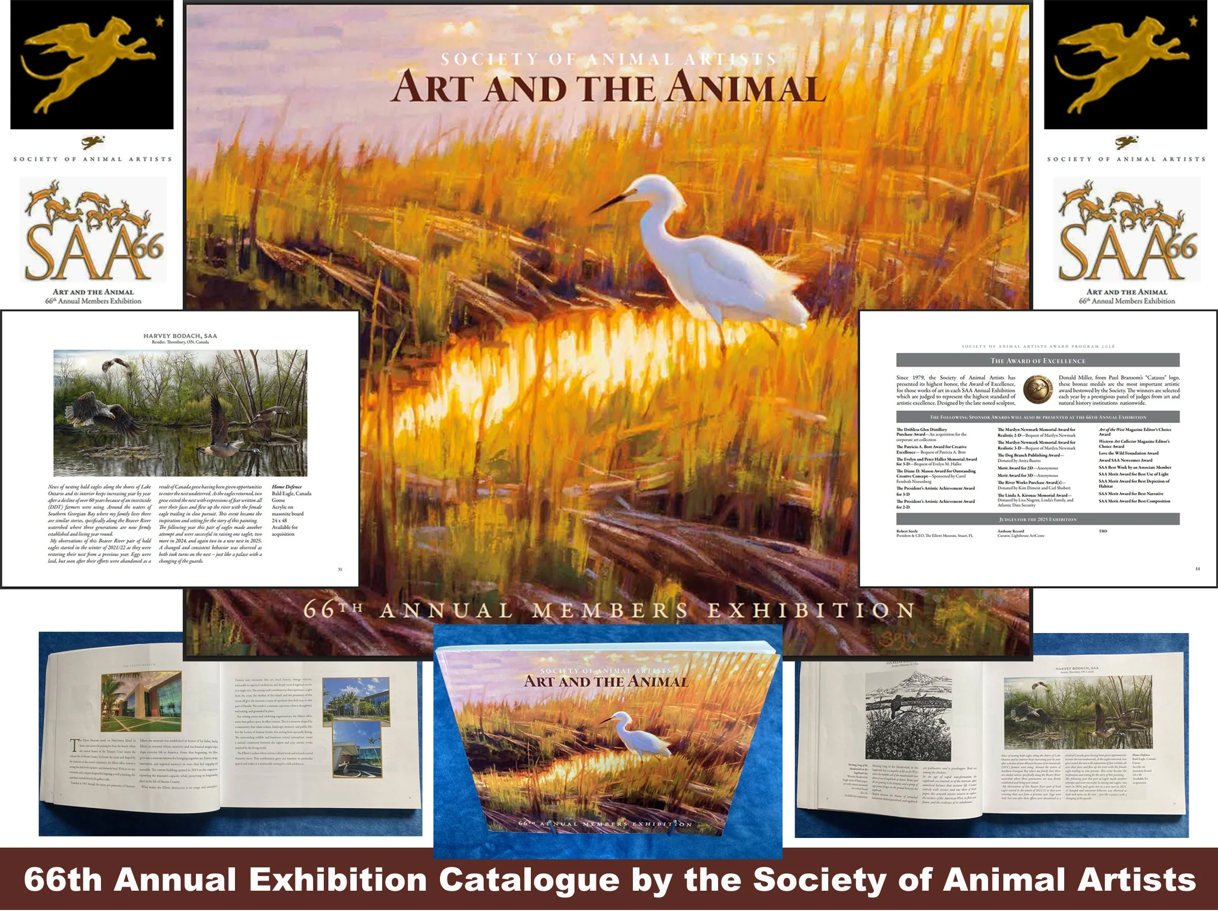 Society of Animal Artists 66th Annual Exhibition - CATALOGUE