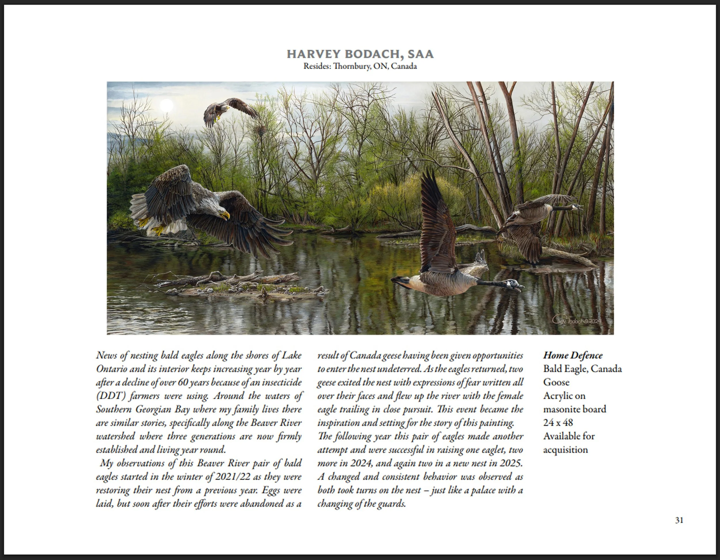 HB-Art-pg31-B.jpg