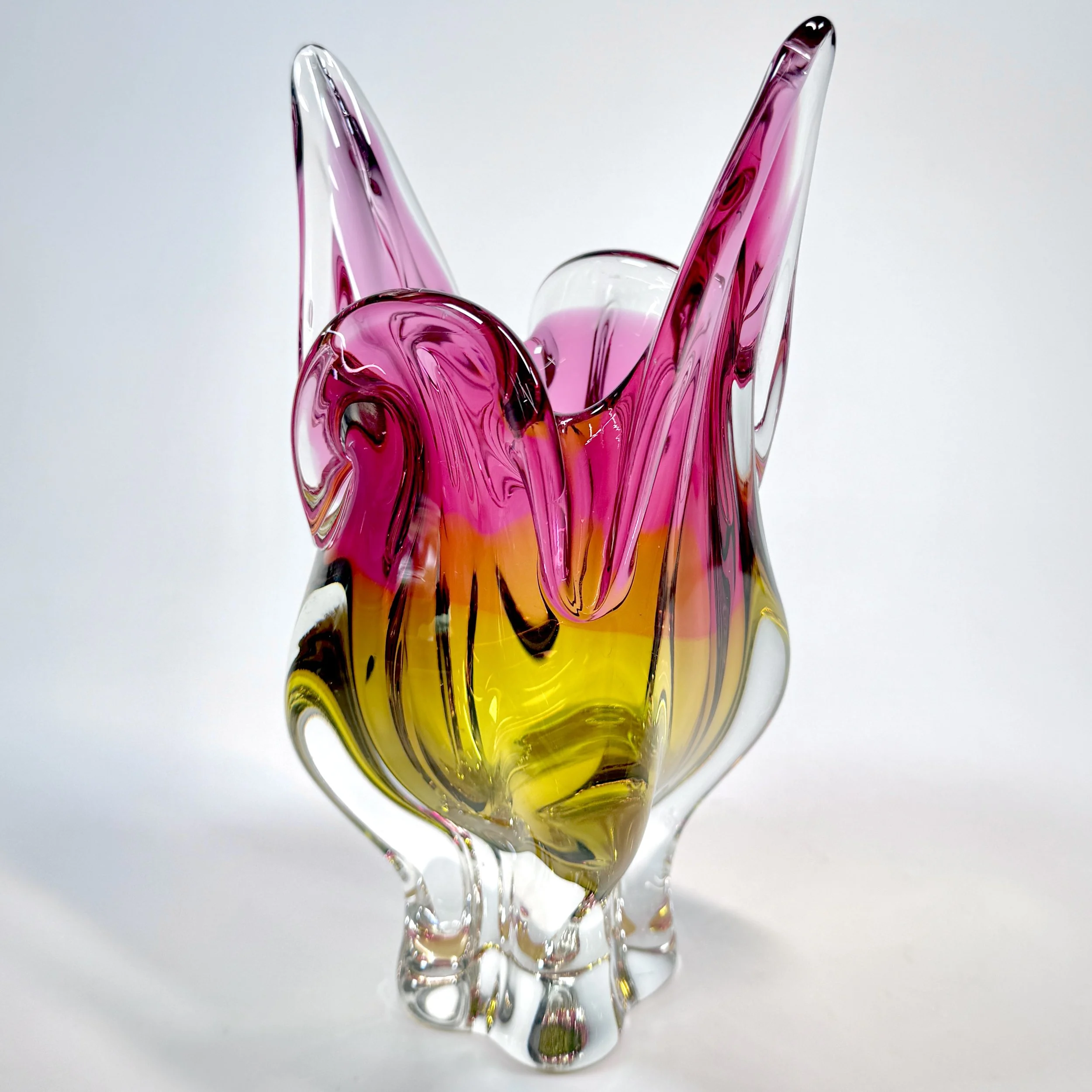 20260426_074939313_iOS 1.jpg