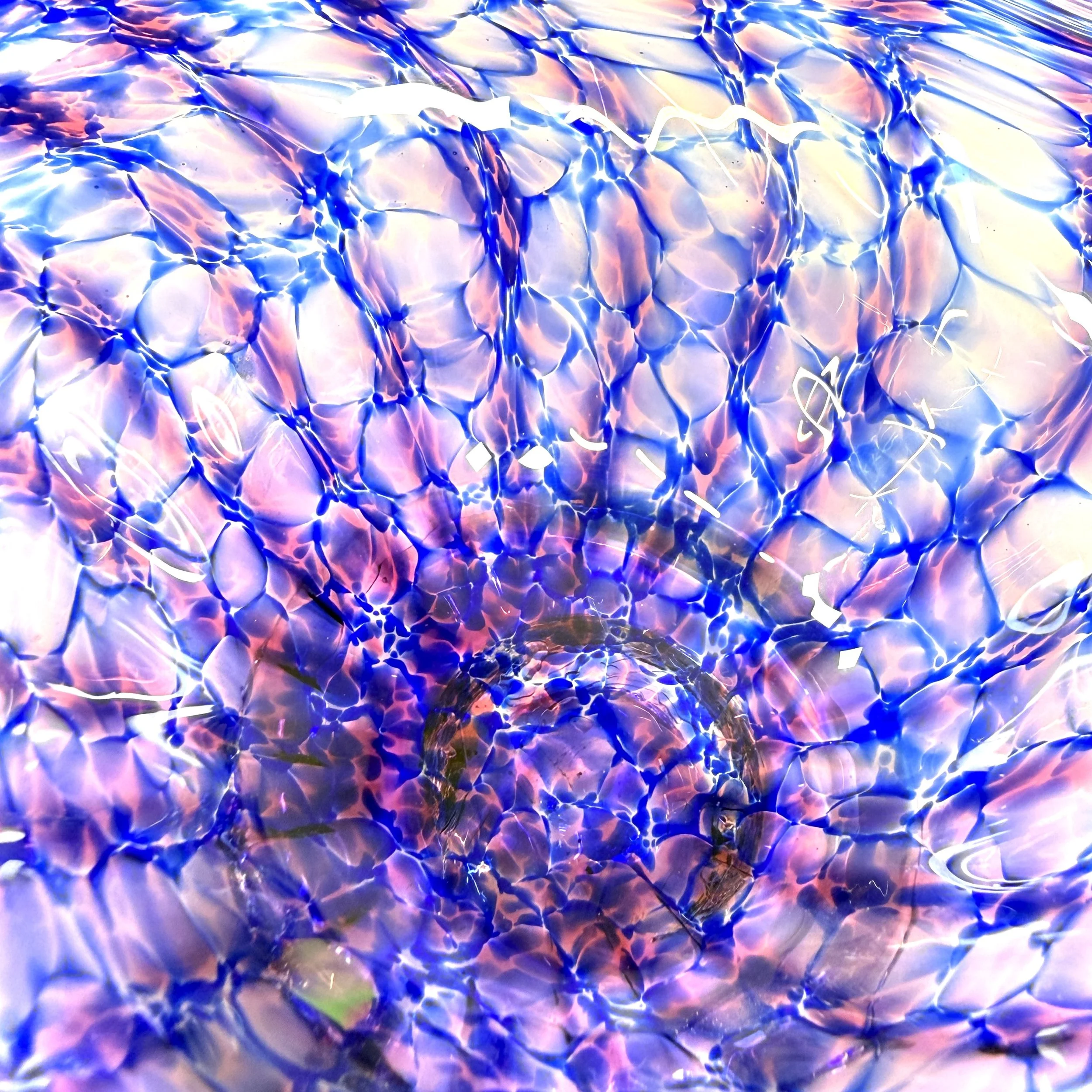 20260426_073830823_iOS 1.jpg