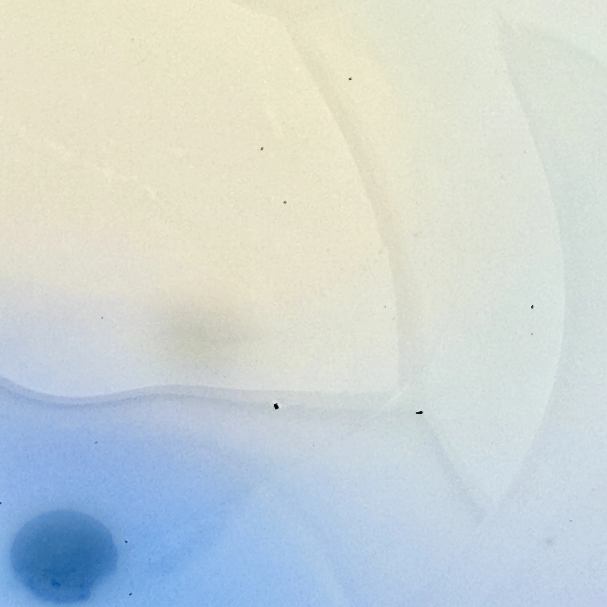 20260501_053422540_iOS.jpg