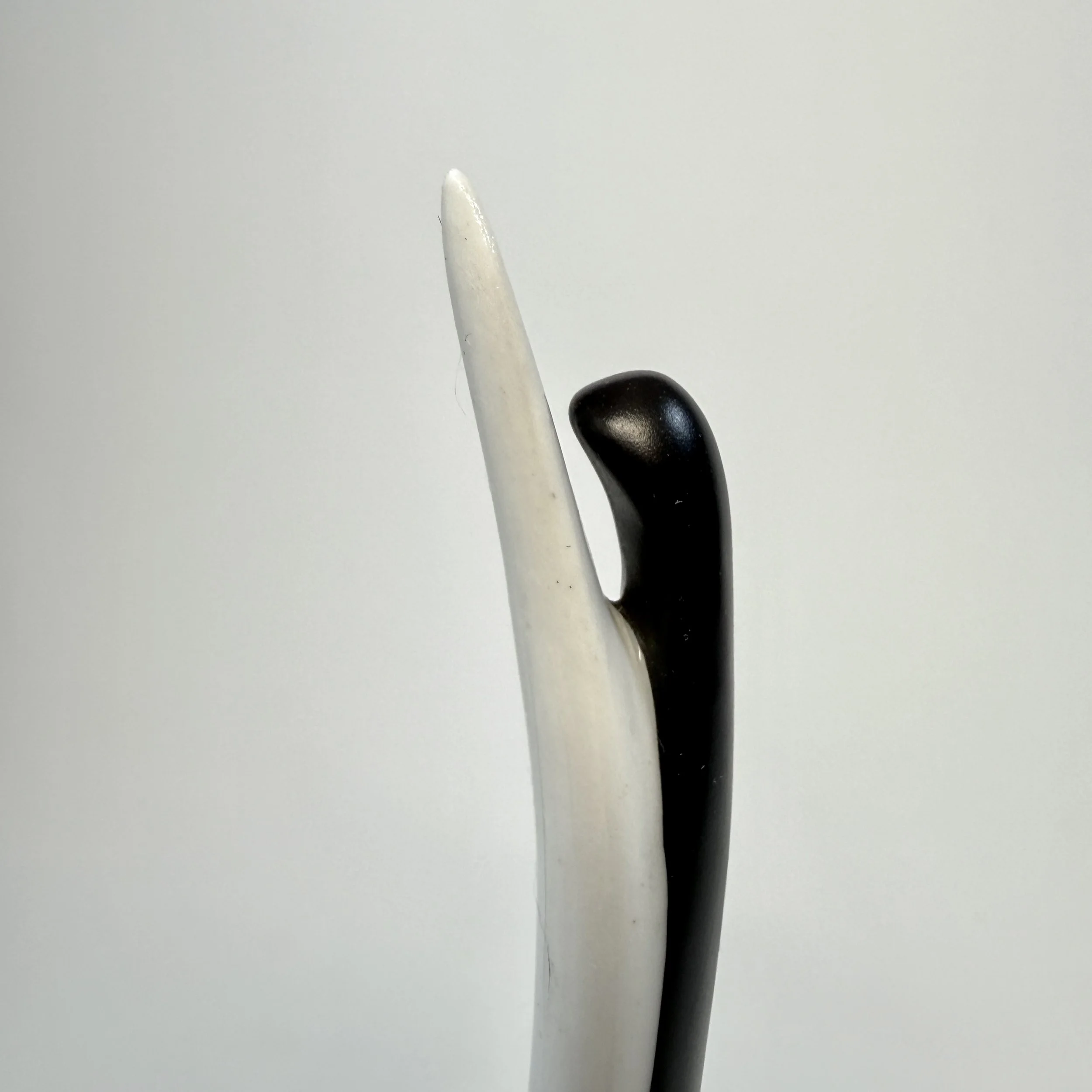 20260420_094403549_iOS 1.jpg