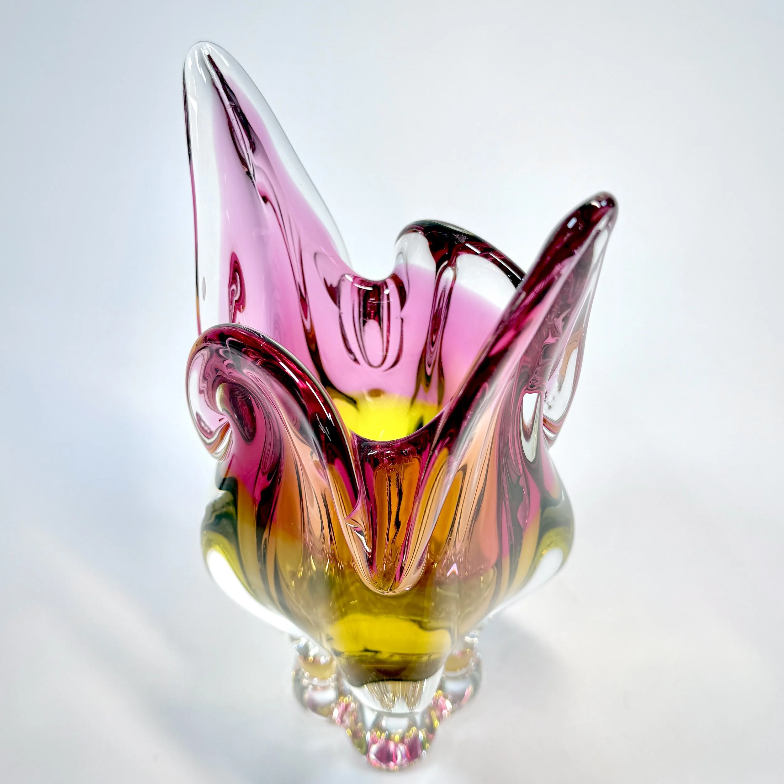 20260426_074953131_iOS 1.jpg